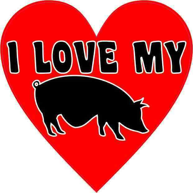 4X4 I Love My Pot Belly Pig Heart Sticker Animal Pigs Funny Car Bumper Stickers