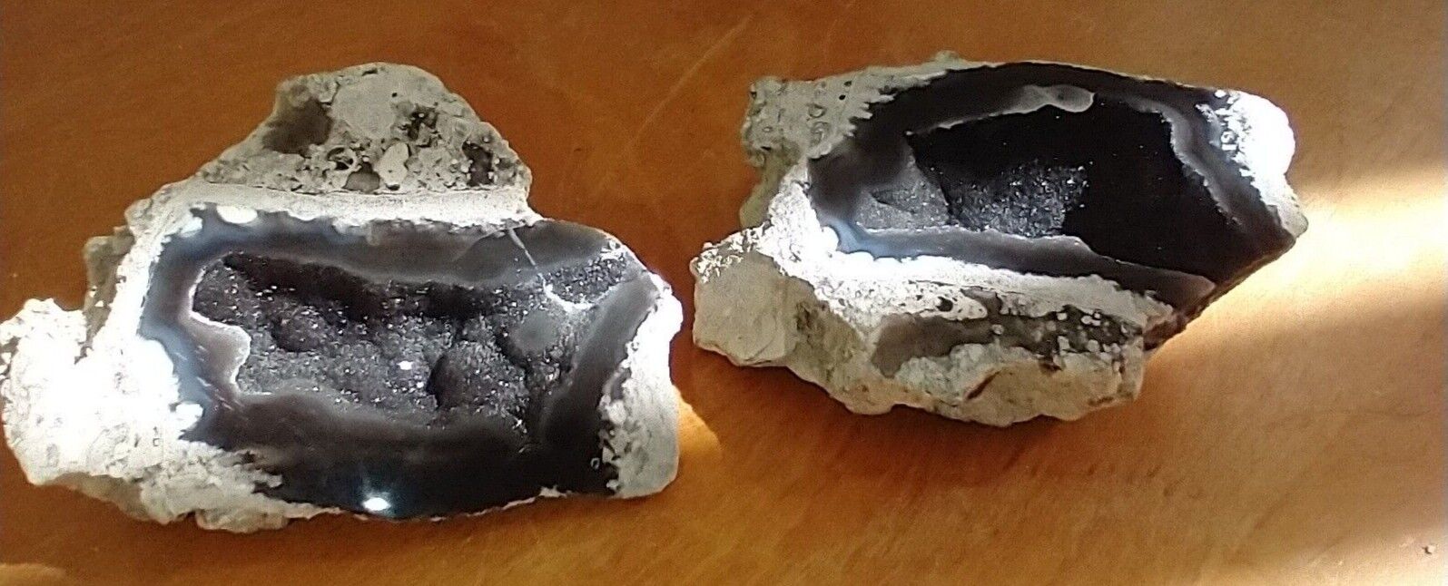 Fine Ballast Point Tampa Bay Agatized Coral Fossil, Cut Polished Pair #4