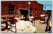 Cotton Mill Processor North Carolina NC Vintage Advertising Postcard picture