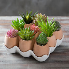 MyGift 10 pc Set Beige Eggs Design Ceramic Mini Succulent Planter Pots with Tray picture