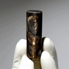 The Golden Frequency Rod— Natural Star Sapphire Cylinder— Radiating Cosmic Pulse picture