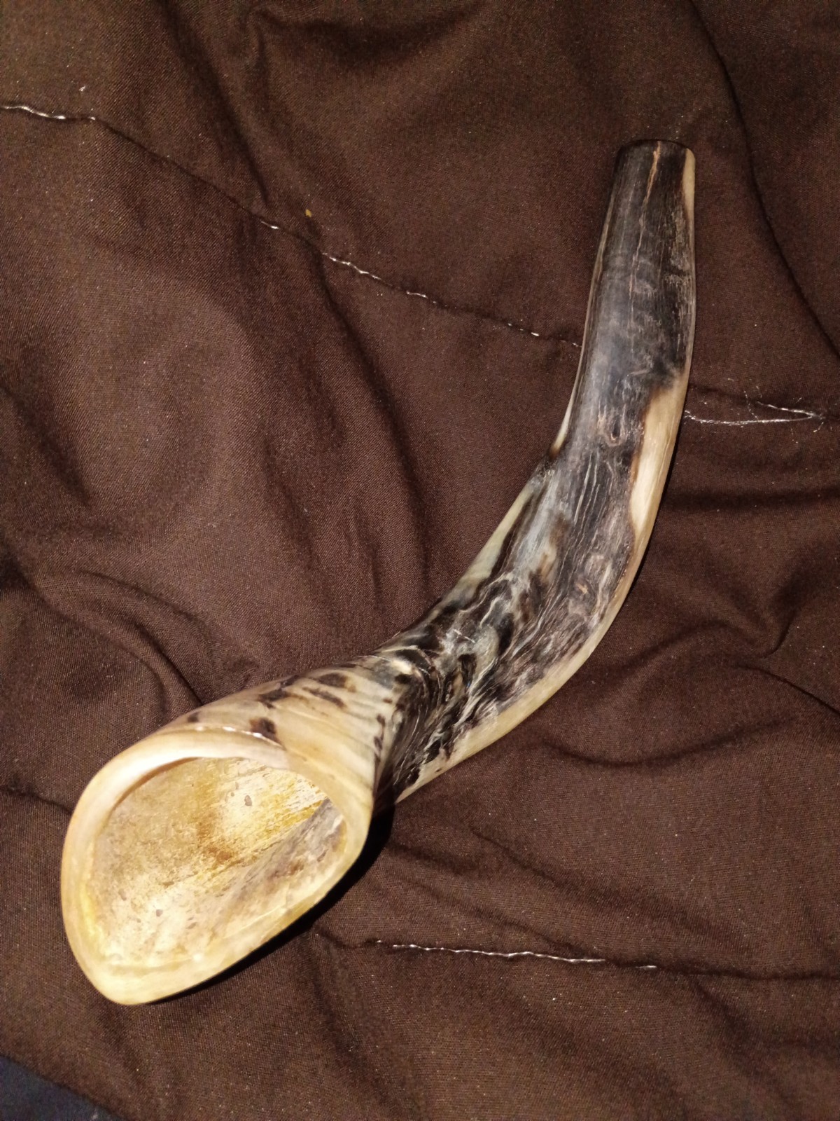 Authentic Ceremony Ram Horn