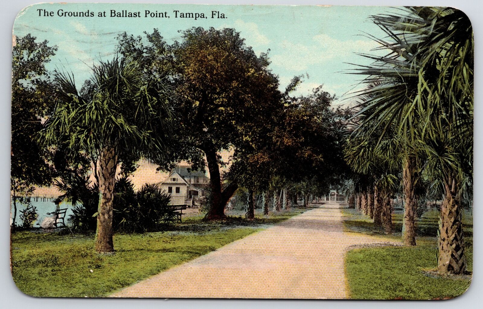 1912 Grounds At Ballast Point Tampa Florida Palm Lined Roadway Posted Postcard