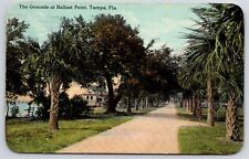 1912 Grounds At Ballast Point Tampa Florida Palm Lined Roadway Posted Postcard picture